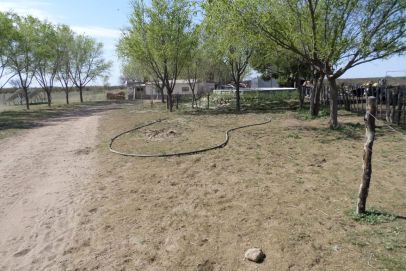 Cercano a Ruta 143 que une las localidades de Santa Isabel La Pampa con General Alvear Mendoza

Vista Alegre